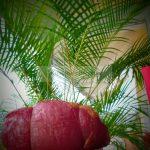 копченое мясо копченое мясо